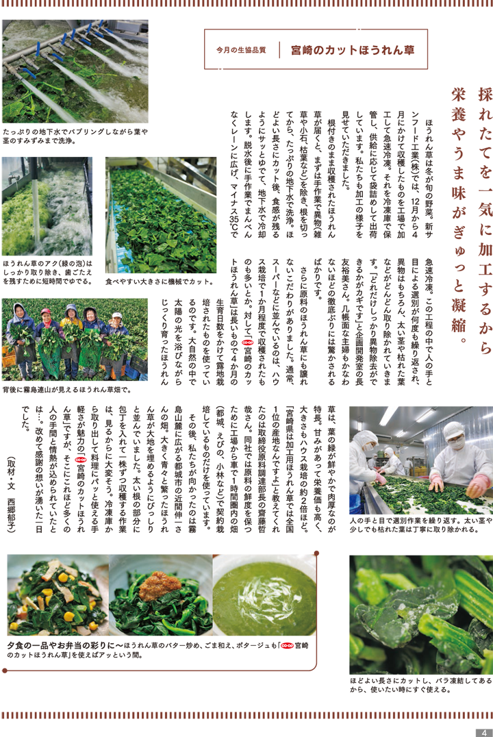 180322mycoop-p4.png