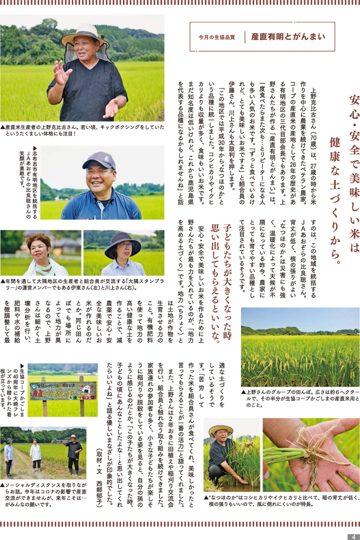 mycoop-201001-p4.png