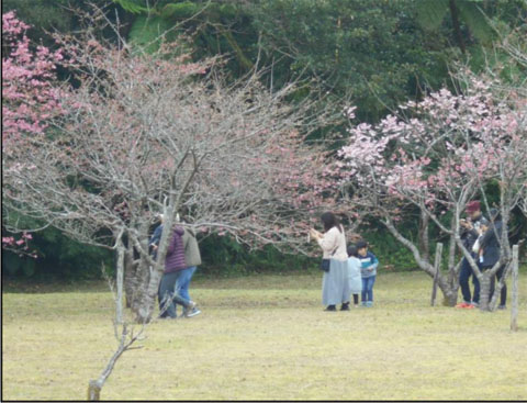 200207-1月「奄美 戦跡めぐり報告」-4-0.jpg