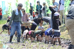 180421肝付田植え交流会05.JPG