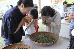190610nejime-tea04.JPG