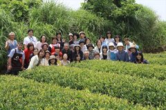 190610nejime-tea09.JPG