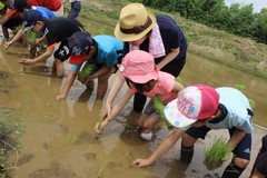 2019田植え交流会.jpg