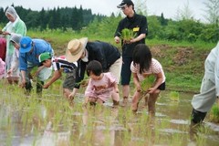 2019田植え交流会2.jpg
