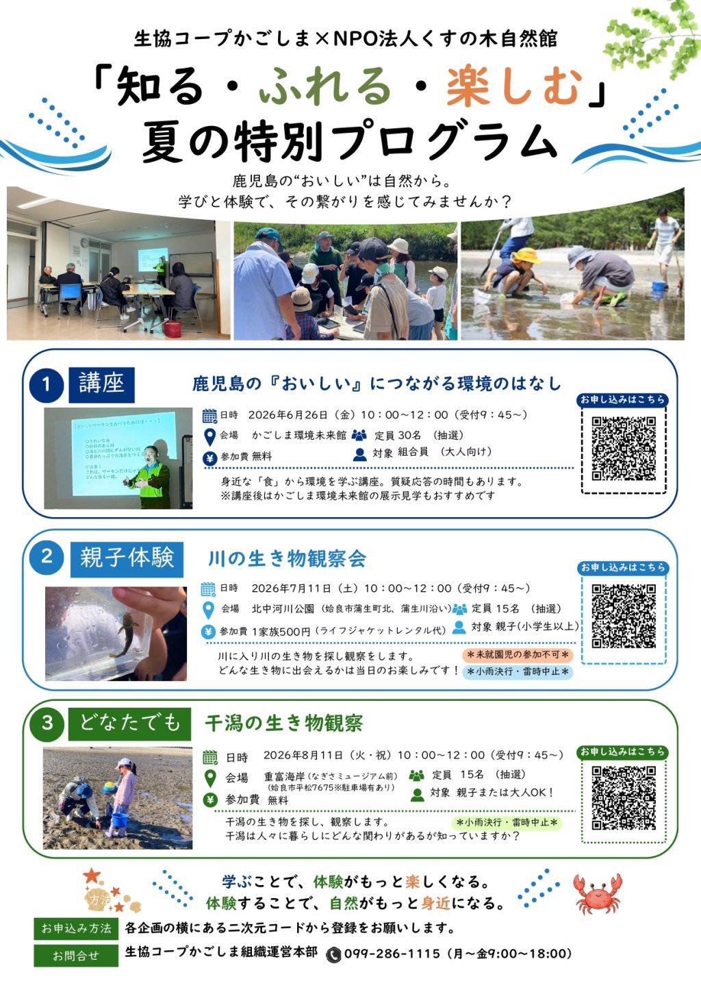 ＜NPO法人くすの木自然館との共同企画＞夏の特別プログラムのご案内～自然・環境について学ぼう～